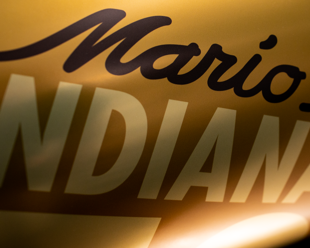 Mario Andretti - Champion - Limited Edition Print